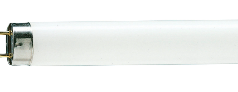 LAMP FLUOR  T8 32W BR 220V 8000H