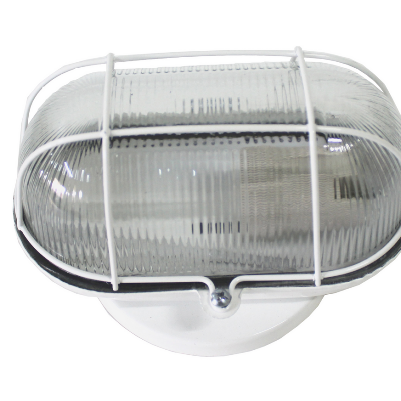 TARTARUGA FERRO VIDRO 60W BR