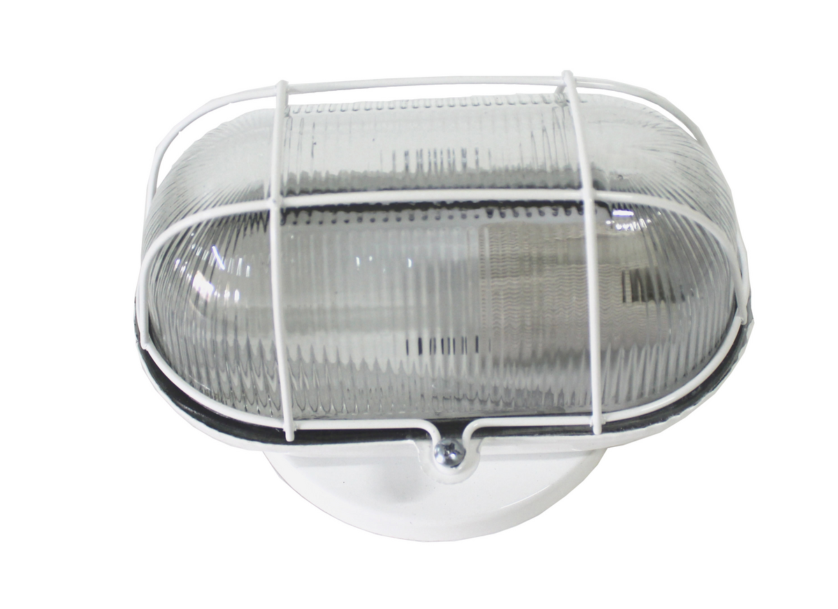 TARTARUGA FERRO VIDRO 60W BR
