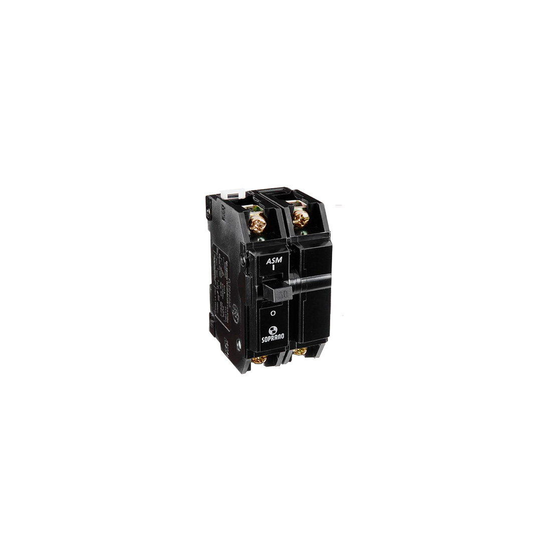 DISJUNTOR NEMA BIPOLAR 100A