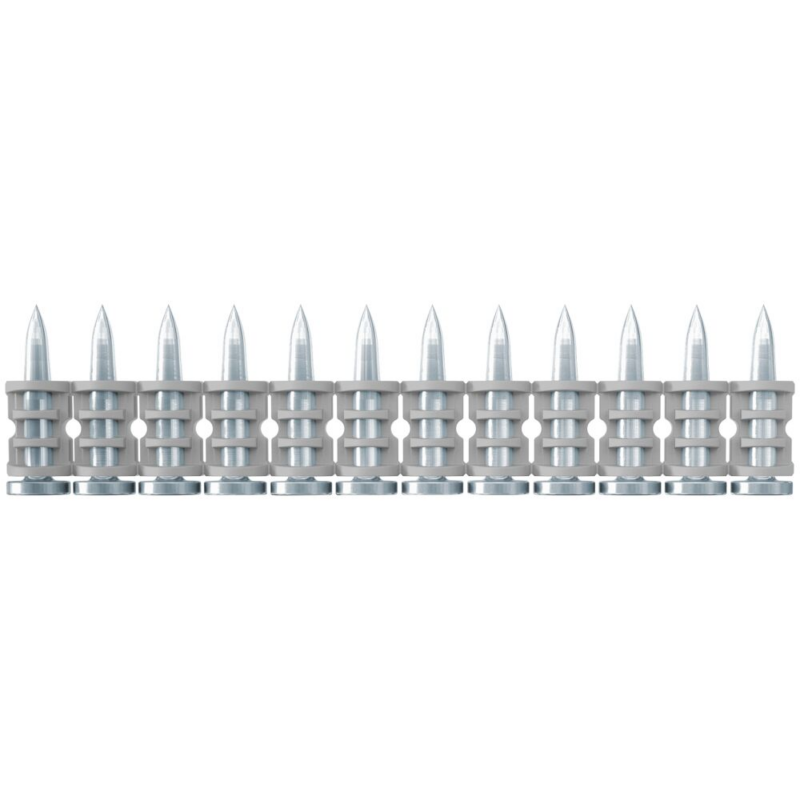 PINO FISCHER 25 NP C/1008UN